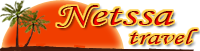 Netssa logo