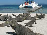 Cayo Iguana Ancon peninsula near Tinidad Cuba