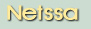 Netssa.com