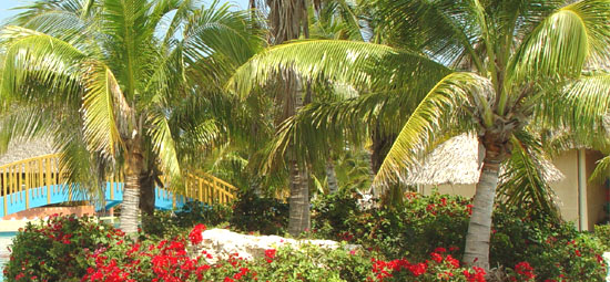 Cayo Santa Maria Hotels